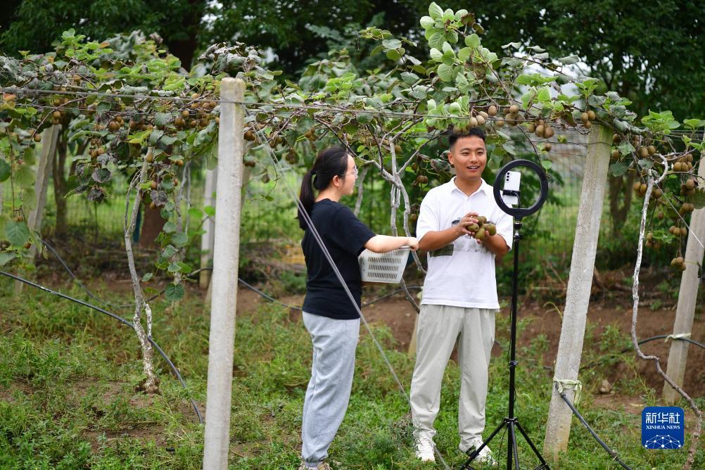 体验金白菜网